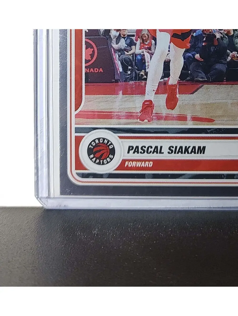Pascal Siakam 2023-24 Panini NBA Sticker Foil Card #19 Toronto Raptors